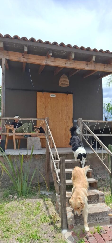 cabañas pet friendly